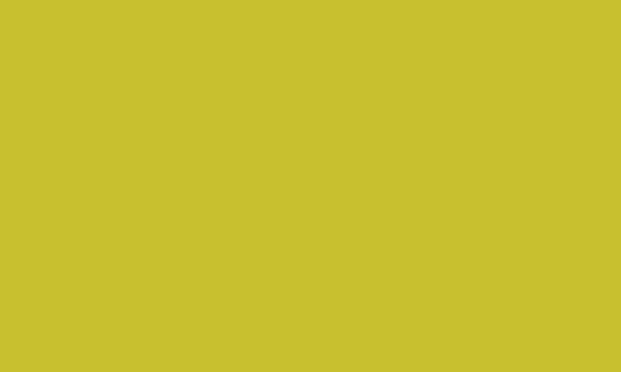 CARAN D’ACHE CARAN D’ACHE MUSEUM AQUARELLE 3510.015 OLIVE GREEN Caran D’Ache Museum Aquarelle Colour Pencils