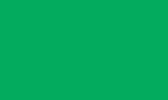 CARAN D’ACHE CARAN D’ACHE MUSEUM AQUARELLE 3510.220 GRASS GREEN Caran D’Ache Museum Aquarelle Colour Pencils