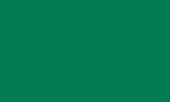 CARAN D’ACHE CARAN D’ACHE MUSEUM AQUARELLE 3510.710 PHTHALOCYANINE GREEN Caran D’Ache Museum Aquarelle Colour Pencils