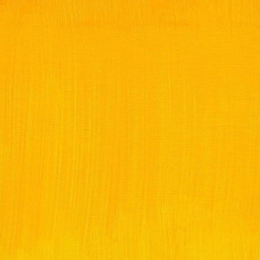 WINSOR & NEWTON ARTIST OILS WINSOR & NEWTON W&N Artist's Oil 37ml Cadmium-Free Yellow 890