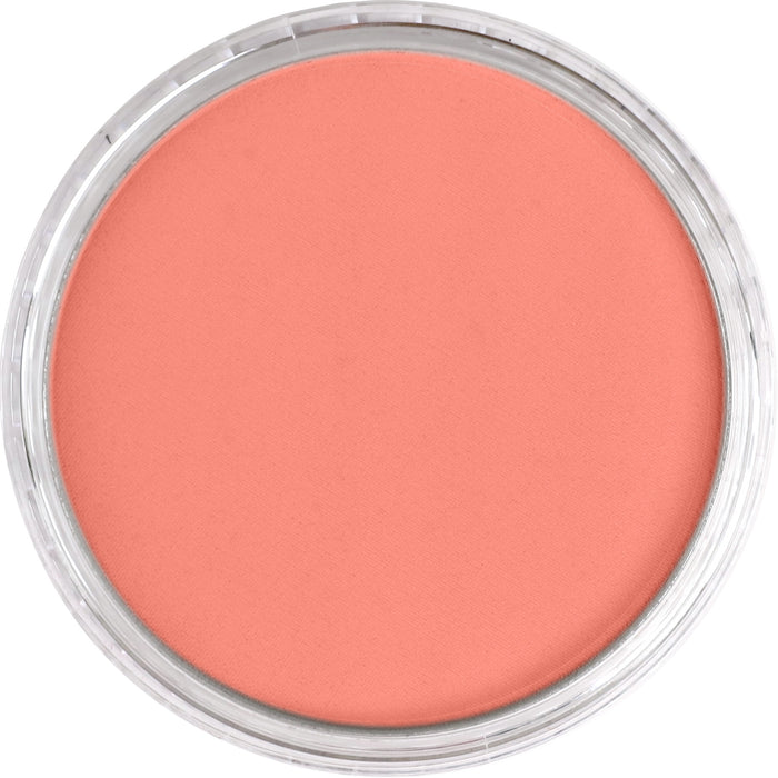 Panpastel 310.6 Vermilion Medium