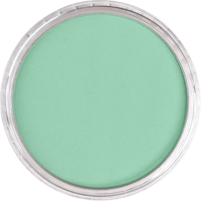 Panpastel 640.7 Permanent Green Light