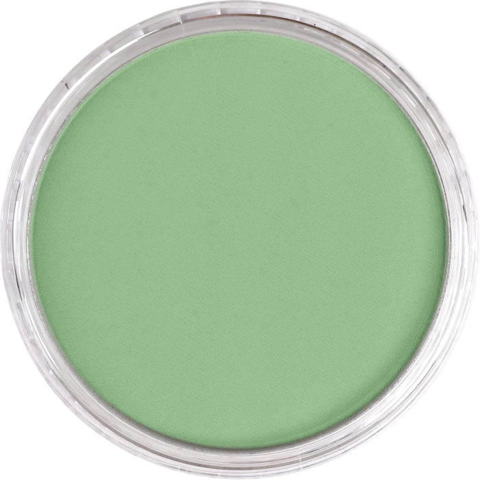 Panpastel 660.7 Chromium Oxide Green Light