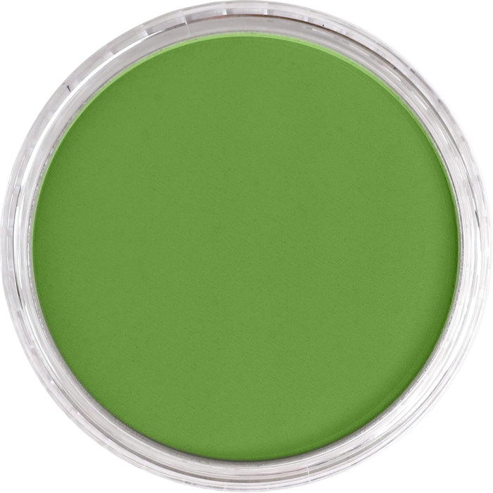 Panpastel 690.3 Yellow Green Shade