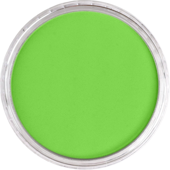 Panpastel 690.5 Yellow Green
