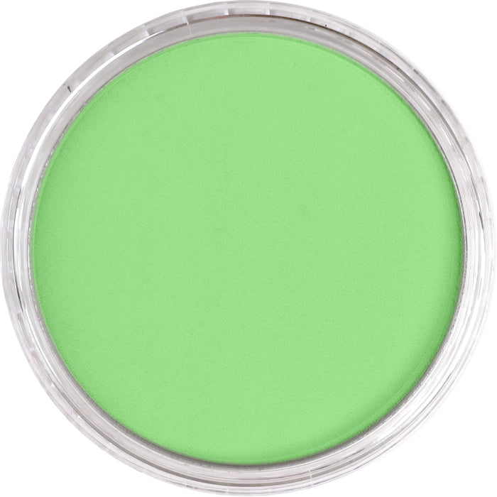 Panpastel 690.7 Yellow Green Light