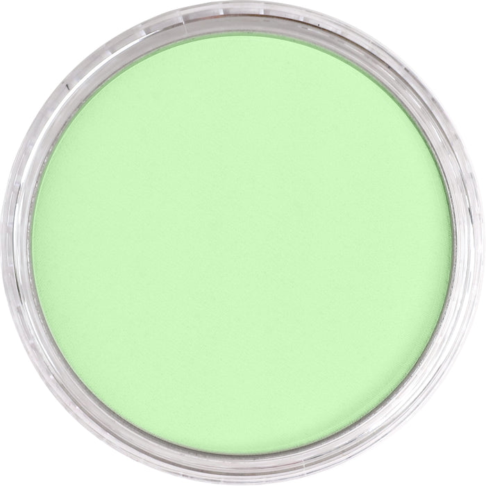 Panpastel 690.8 Yellow Green Tint