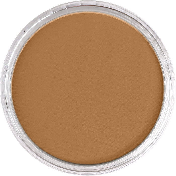 Panpastel 710.3 Raw Sienna Shade