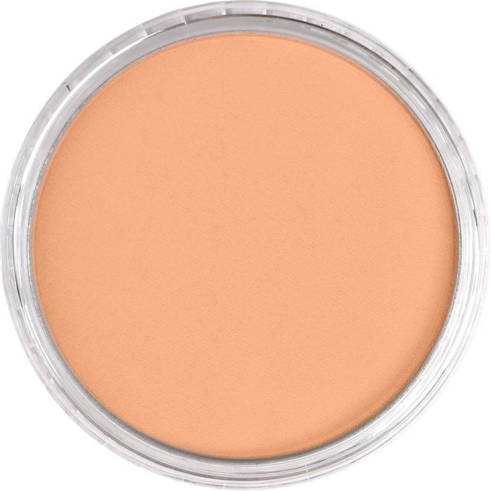 Panpastel 740.7 Burnt Sienna Light