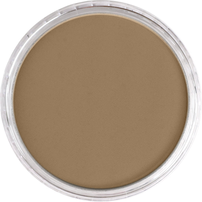 Panpastel 780.7 Raw Umber Light