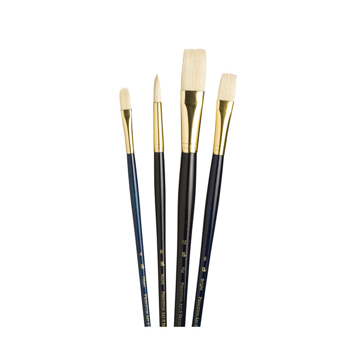 Princeton Real Value Natural Long Handle 4Pc Set