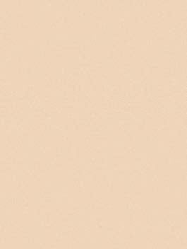 ART SPECTRUM COLOURFIX ART SPECTRUM As Soft Round Colourfix™ Pastel Australian Grey