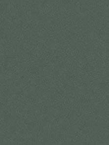 ART SPECTRUM COLOURFIX ART SPECTRUM As Soft Round Colourfix™ Pastel Leaf Green Dark
