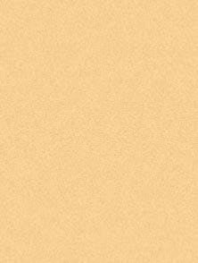 ART SPECTRUM COLOURFIX ART SPECTRUM As Soft Round Colourfix™ Pastel Rich Beige