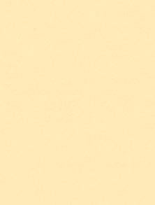ART SPECTRUM COLOURFIX ART SPECTRUM As Soft Round Colourfix™ Pastel Sand