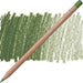 CARAN D’ACHE CARAN D’ACHE 225 Moss Green Caran D’Ache LUMINANCE 6901