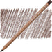 CARAN D’ACHE CARAN D’ACHE 748 Dark Flesh Caran D’Ache LUMINANCE 6901