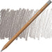 CARAN D’ACHE CARAN D’ACHE 902 Sepia 10% Caran D’Ache LUMINANCE 6901