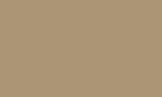 CARAN D’ACHE CARAN D’ACHE Luminance 6901.736 Olive Brown 50% Caran D’Ache LUMINANCE 6901