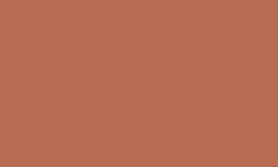 CARAN D’ACHE CARAN D’ACHE CLASSIC NEOCOLOR II 7500.069 BURNT SIENNA Caran D’Ache NEOCOLOR II Wax Pastels (watersoluble)