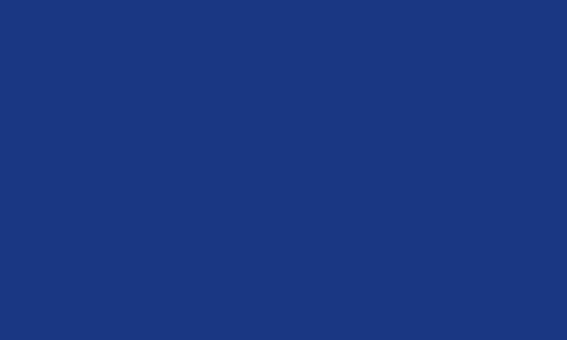 CARAN D’ACHE CARAN D’ACHE CLASSIC NEOCOLOR II 7500.130 ROYAL BLUE Caran D’Ache NEOCOLOR II Wax Pastels (watersoluble)