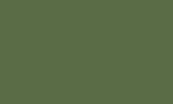 CARAN D’ACHE CARAN D’ACHE CLASSIC NEOCOLOR II 7500.229 DARK GREEN Caran D’Ache NEOCOLOR II Wax Pastels (watersoluble)