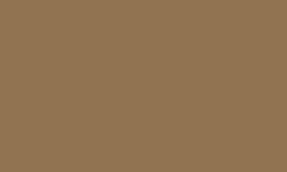 CARAN D’ACHE CARAN D’ACHE ARTIST NEOPASTEL 7400.037 BROWN OCHRE Caran D’Ache NEOPASTEL Oil Pastels