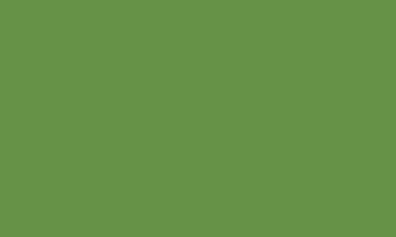 CARAN D’ACHE CARAN D’ACHE ARTIST NEOPASTEL 7400.225 MOSS GREEN Caran D’Ache NEOPASTEL Oil Pastels