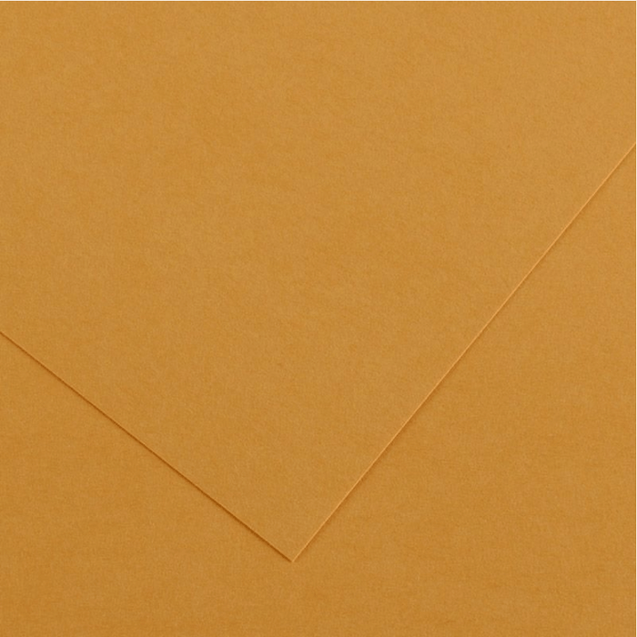 CANSON COLORLINE CANSON 32 Leather Colorline 300gsm 50x65cm ( Each )