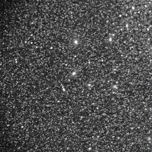 COUTURE CREATION 12ML ALCOHOL INK COUTURE CREATION Couture Creation 12ml Onyx Glitter Accents Alcohol Ink