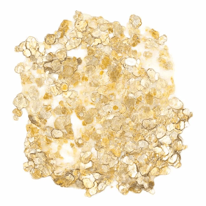 GOLDEN HEAVY BODY GOLDEN Golden HEAVY BODY Gold Mica Flake Large