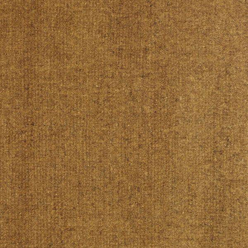 Transparent Raw Umber