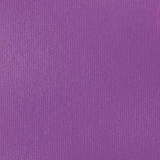 LIQUITEX BASICS LIQUITEX Liquitex Basics Brilliant Purple