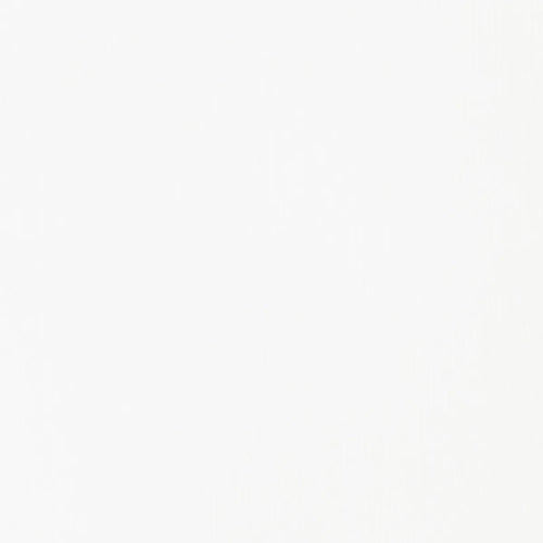 Liquitex Basics Titanium White