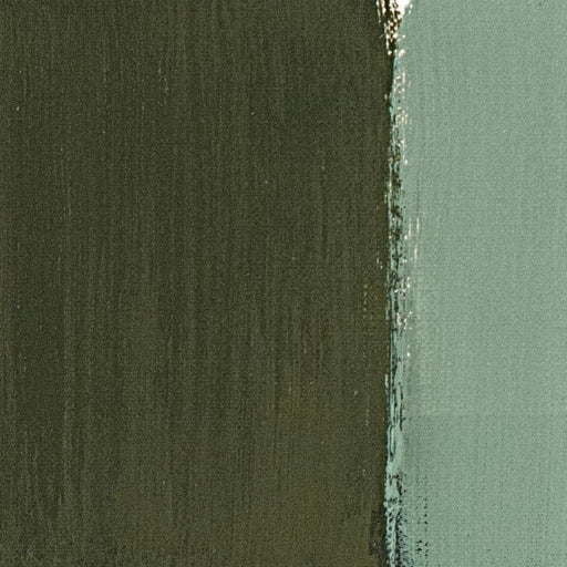 MAIMERI CLASSICO MAIMERI CLASSICO Maimeri Classico 039 Terre-Grezze Green Earth from Verona 60ml