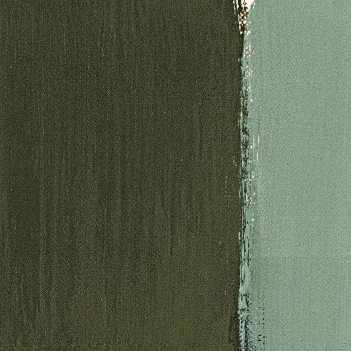 MAIMERI CLASSICO MAIMERI CLASSICO Maimeri Classico 039 Terre-Grezze Green Earth from Verona 60ml