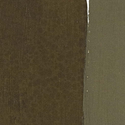 MAIMERI CLASSICO MAIMERI CLASSICO Maimeri Classico 040 Terre-Grezze Antique Green Earth from Verona 60ml