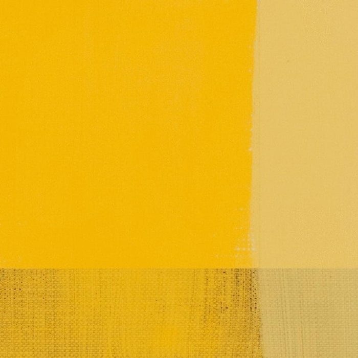 MAIMERI CLASSICO MAIMERI CLASSICO Maimeri Classico 081 Cadmium Yellow Light