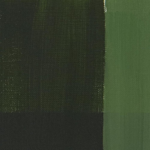 MAIMERI CLASSICO MAIMERI CLASSICO Maimeri Classico 358 Sap Green