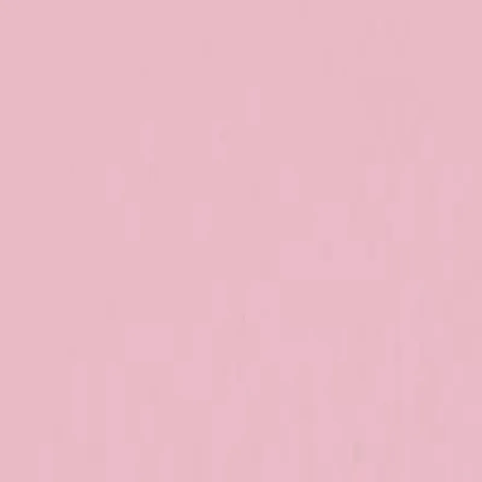 MATISSE BACKGROUND MATISSE Matisse Background Acrylics Blush (PINK)