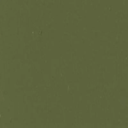 MATISSE BACKGROUND MATISSE 250ml Matisse Background Acrylics Olive Green Light