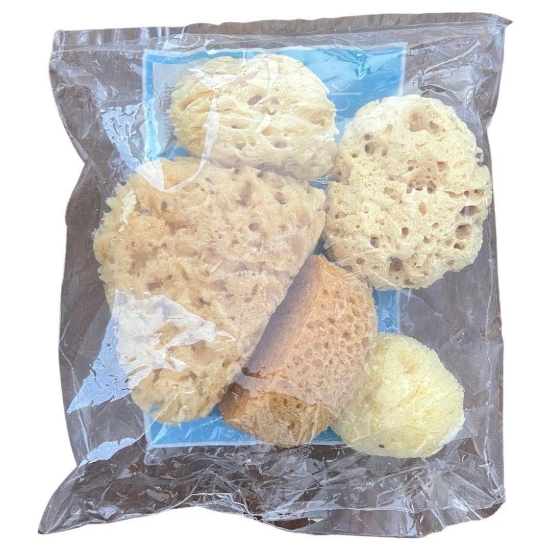 Natural Sea Sponge Pack of 5 — The Sydney Art Store