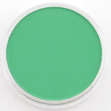 PANPASTEL PANPASTEL 640.5 Permanent Green PanPastels