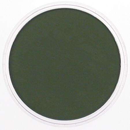 PANPASTEL PANPASTEL 660.1 Chrom Oxide Green Extra Dark PanPastels