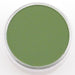 PANPASTEL PANPASTEL 660.5 Chromium Oxide Green PanPastels