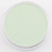 PANPASTEL PANPASTEL 660.8 Chrom Ox Green Tint PanPastels