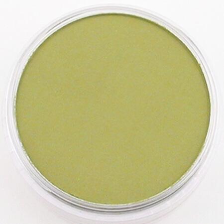 PANPASTEL PANPASTEL 680.3 Bright Yellow Green Shade PanPastels