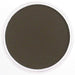 PANPASTEL PANPASTEL 780.3 Raw Umber Shade PanPastels