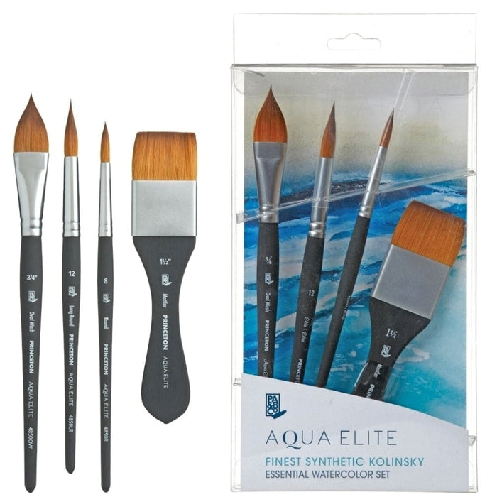 PRINCETON PRINCETON Princeton Aqua Elite 4850 Professional Box 4PC Set
