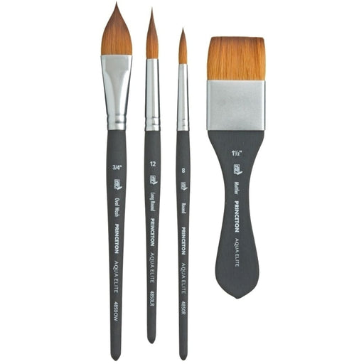 PRINCETON PRINCETON Princeton Aqua Elite 4850 Professional Box 4PC Set